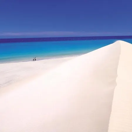 Vandaele Corralejo